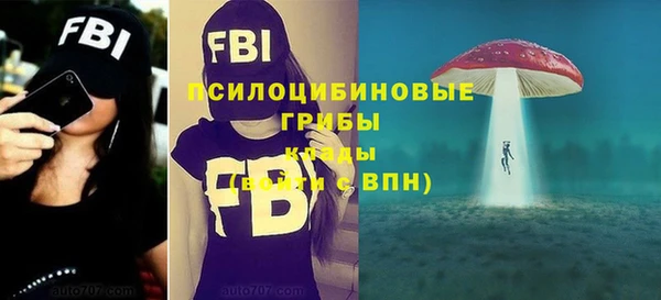 ПСИЛОЦИБИНОВЫЕ ГРИБЫ Няндома