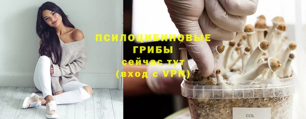 ПСИЛОЦИБИНОВЫЕ ГРИБЫ Няндома