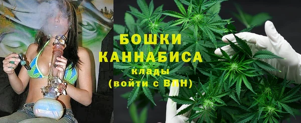 ПСИЛОЦИБИНОВЫЕ ГРИБЫ Няндома
