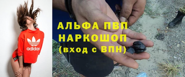ПСИЛОЦИБИНОВЫЕ ГРИБЫ Няндома