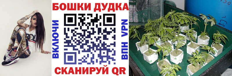 Канабис планчик  цены наркотик  blacksprut рабочий сайт  Суоярви 